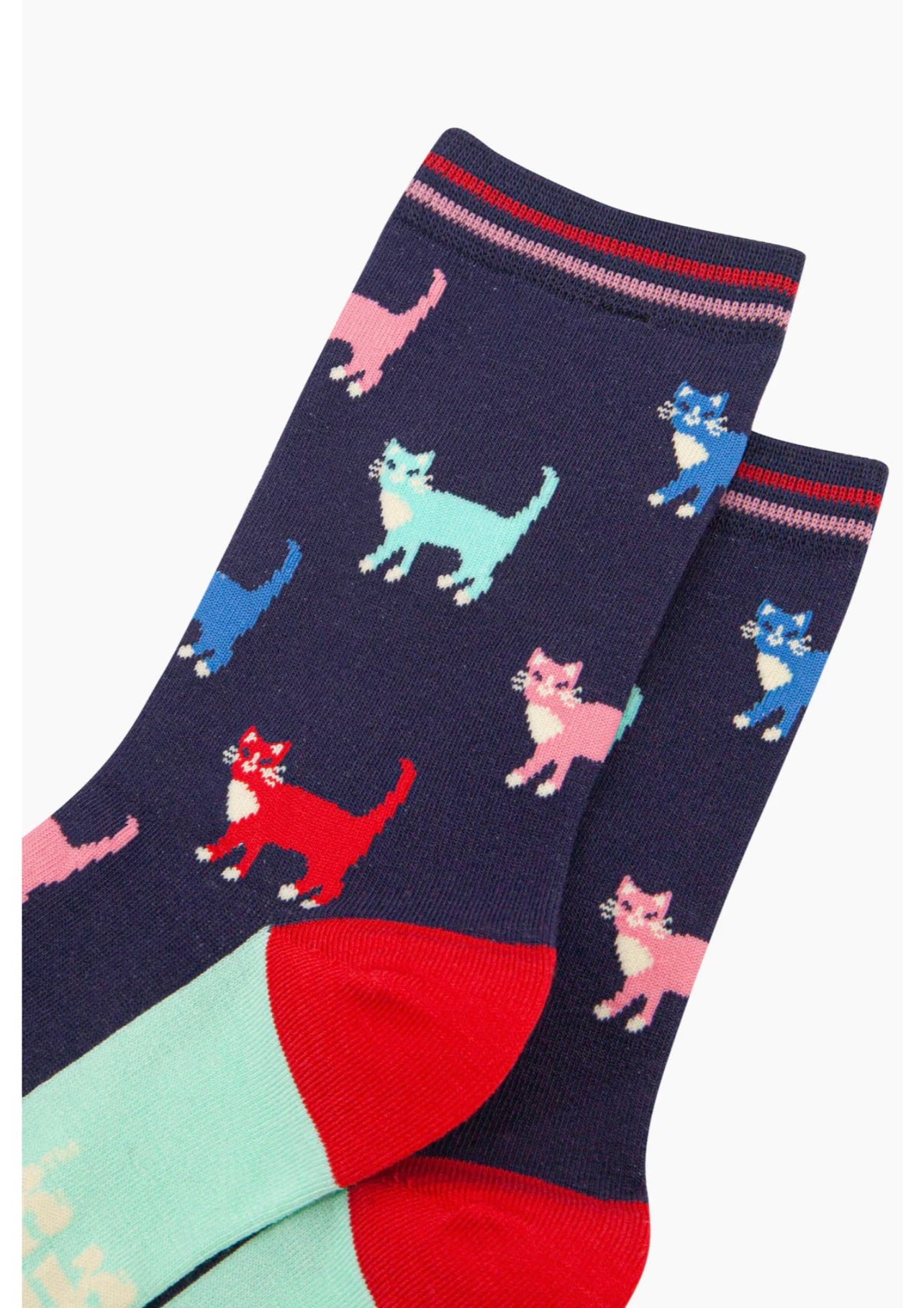 Colourful Cats Bamboo