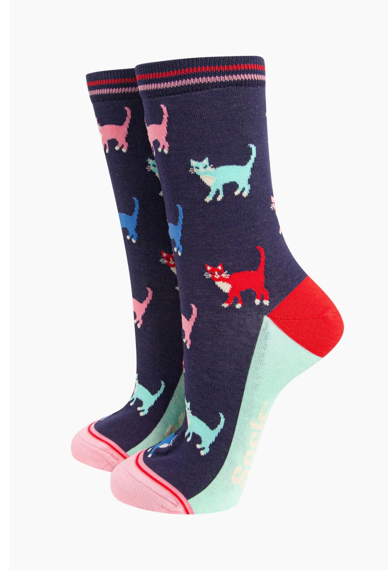 Colourful Cats Bamboo