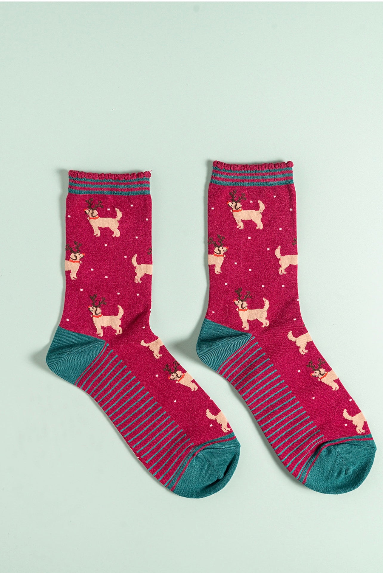 Dog bamboo socks