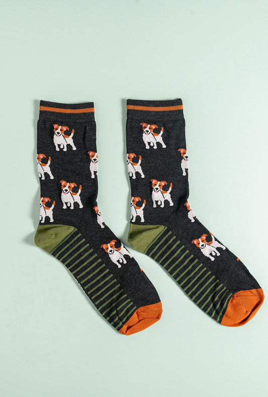 Jack Russell dog bamboo