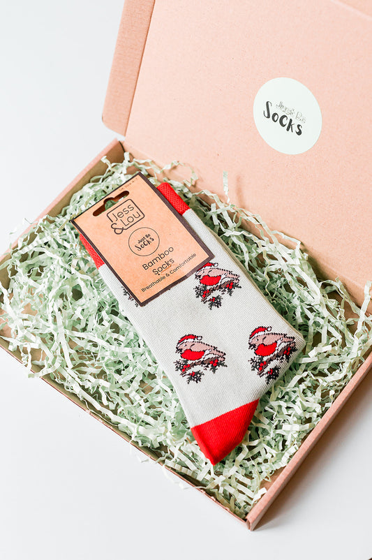 Christmas Robin Just Be Socks Bamboo 4 Pair Bundle