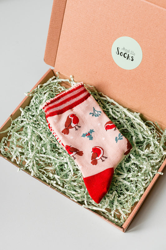 Women's Bamboo Socks - Cream/Red, Christmas Robin
