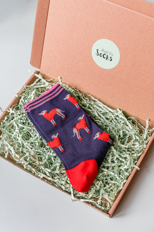 Women's Bamboo Socks - Navy Blue/Red, Greyhound Jumpers