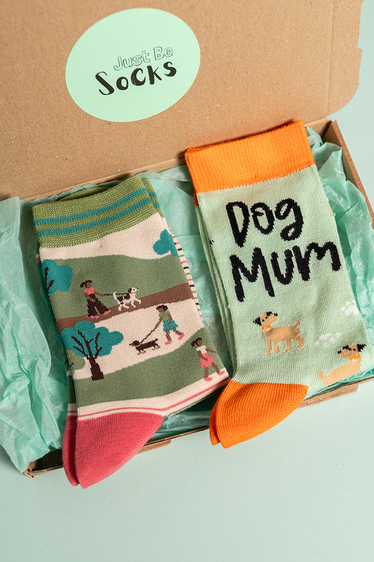 Walking Dog bamboo socks letterbox gift box