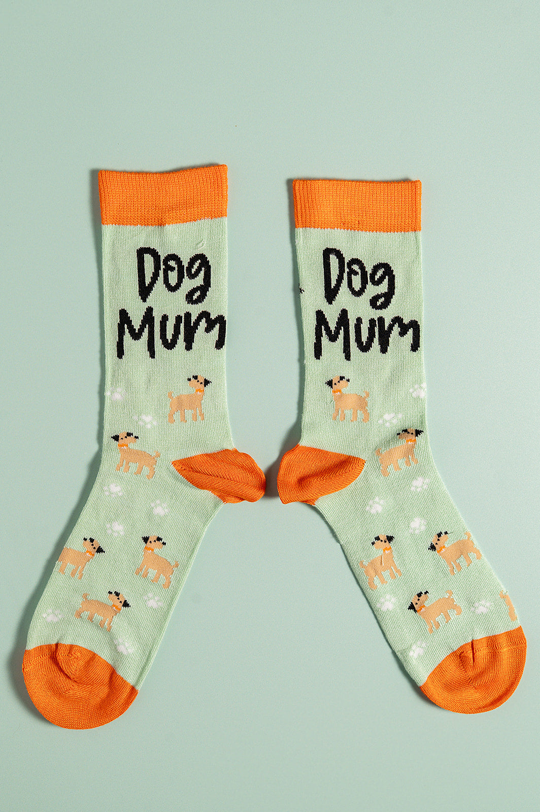 Dog Mum Mothers Day bamboo socks letterbox giftbox